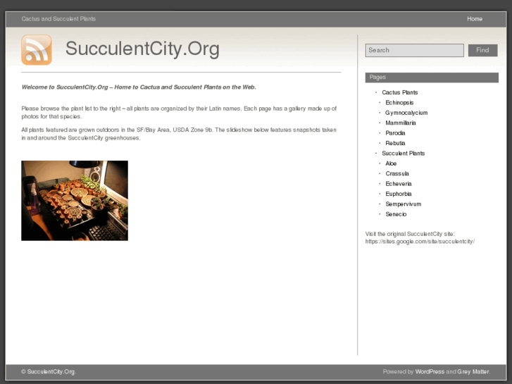 www.succulentcity.org
