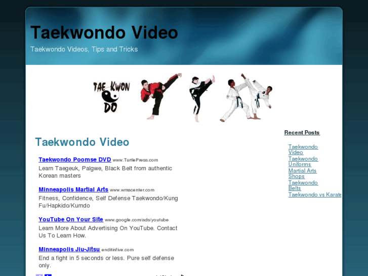 www.taekwondovideo.org