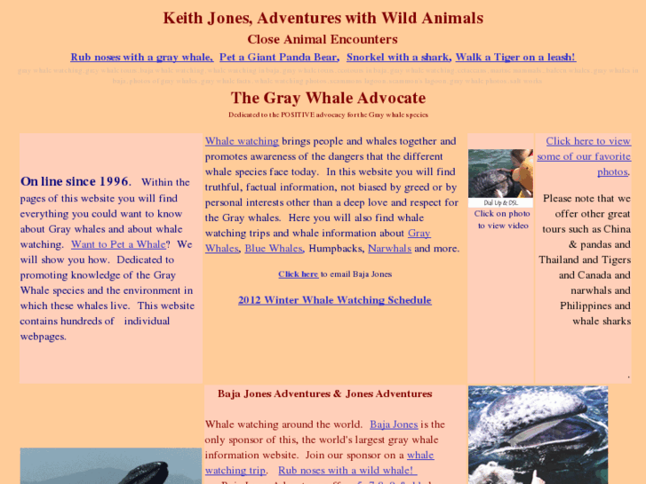 www.greywhale.com