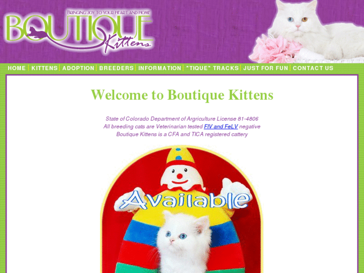 www.himalayankittensforsale.com