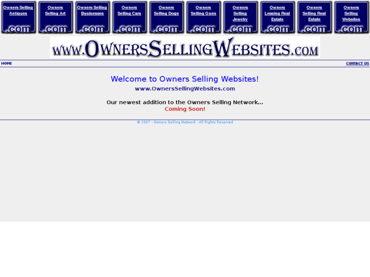 www.ownerssellingwebsites.com