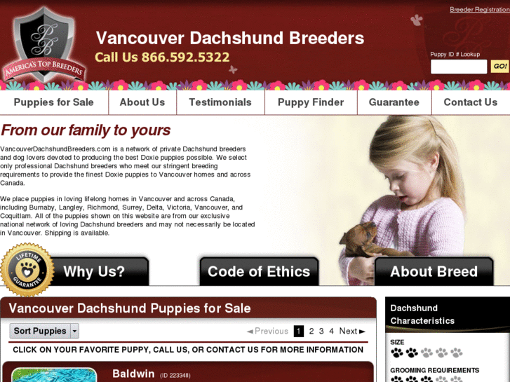 www.vancouverdachshundbreeders.com