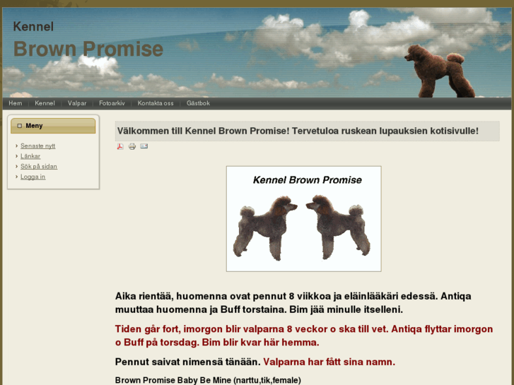 www.brownpromise.com