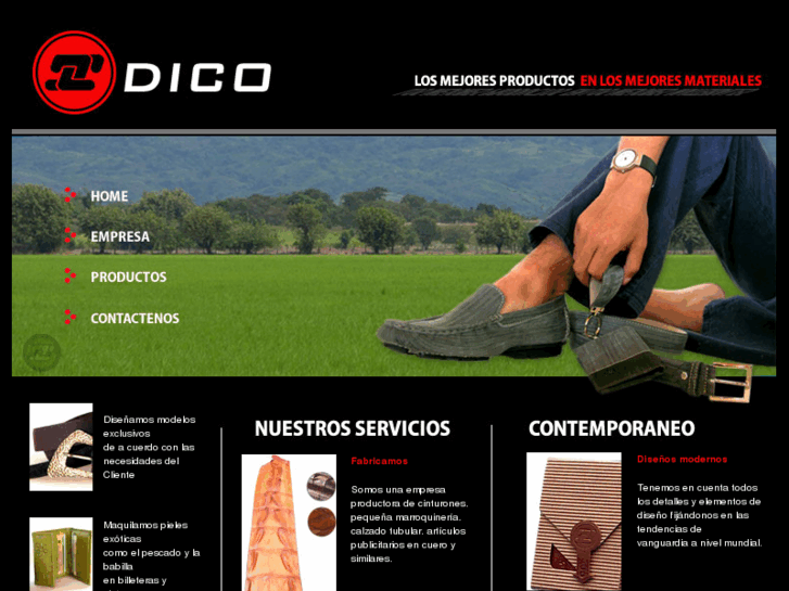 www.disenodico.com