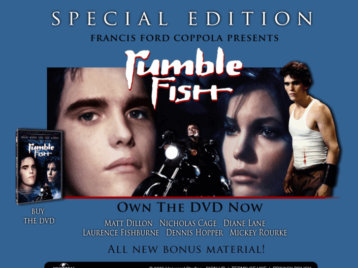 www.rumblefishdvd.com