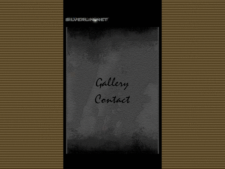 www.silverlin.net