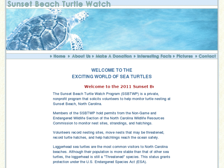 www.sunsetbeachturtles.org