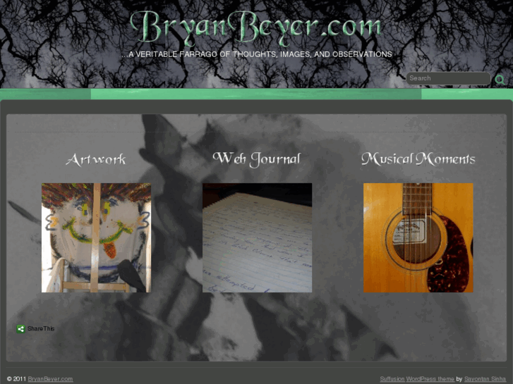 www.bryanbeyer.com