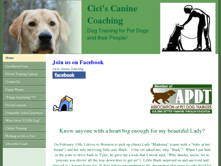 www.ciciscaninecoaching.com