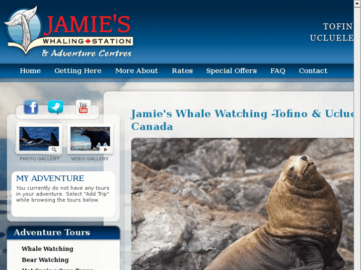 www.jamies.com