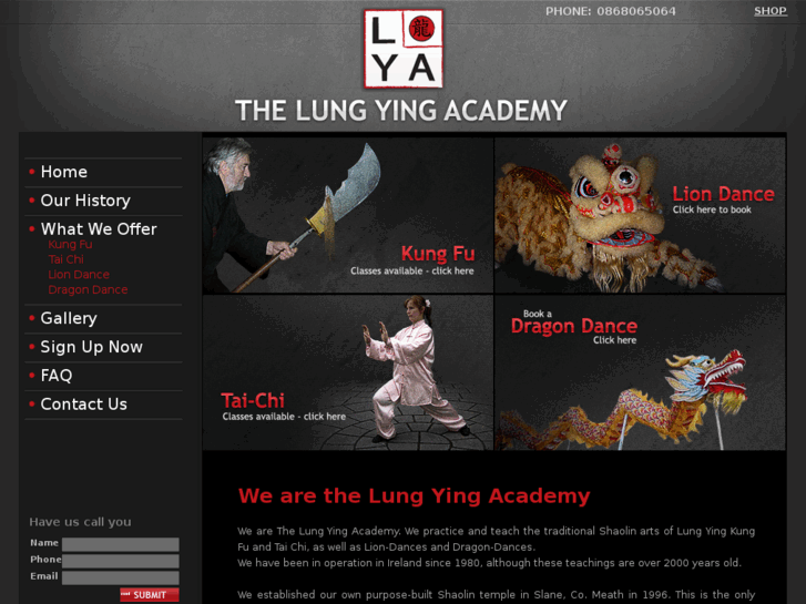 www.kungfu.ie