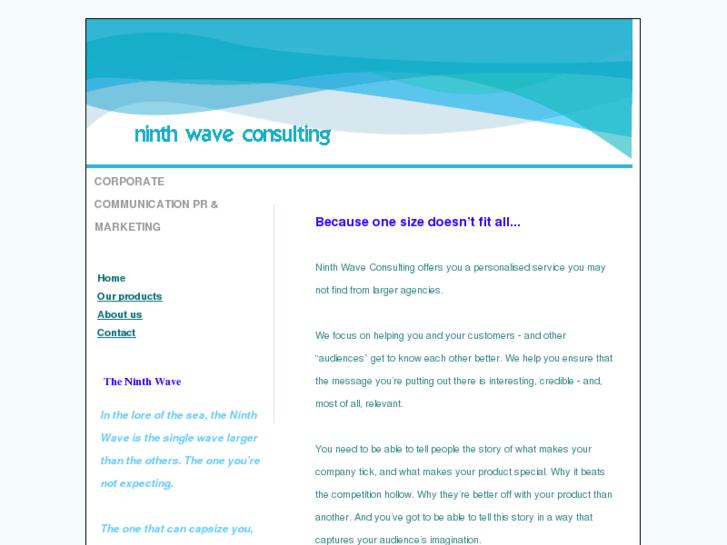 www.ninthwaveconsulting.com