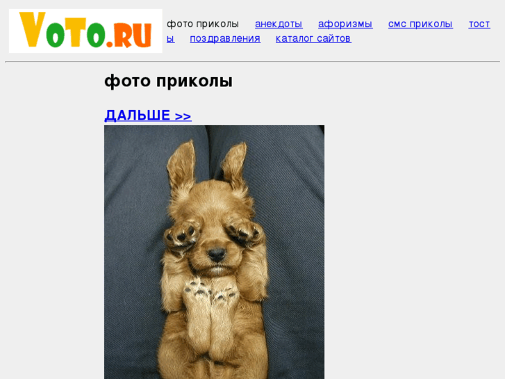 www.voto.ru