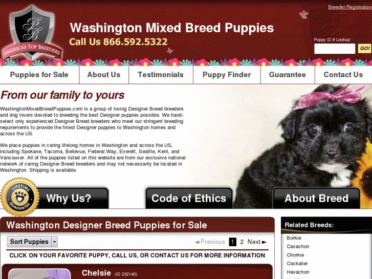 www.washingtonmixedbreedpuppies.com