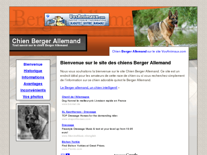 www.chienbergerallemand.com