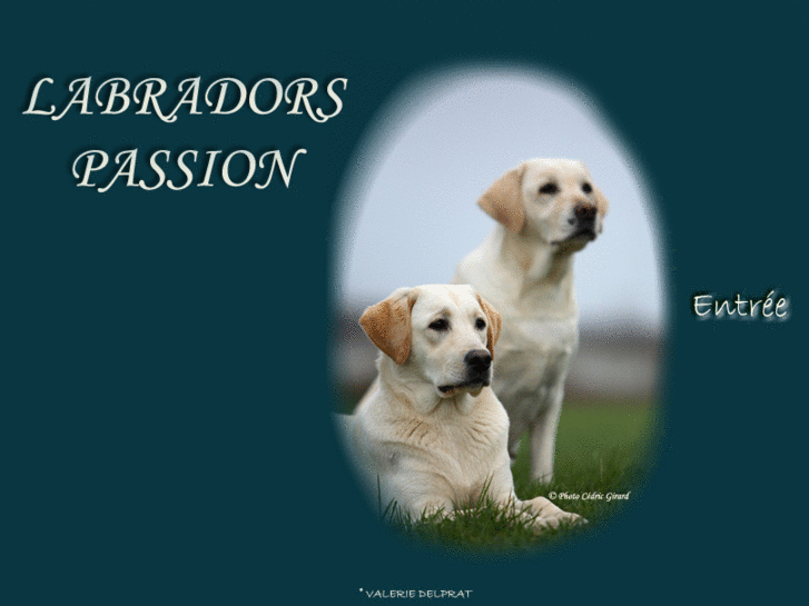 www.labradorspassion.com