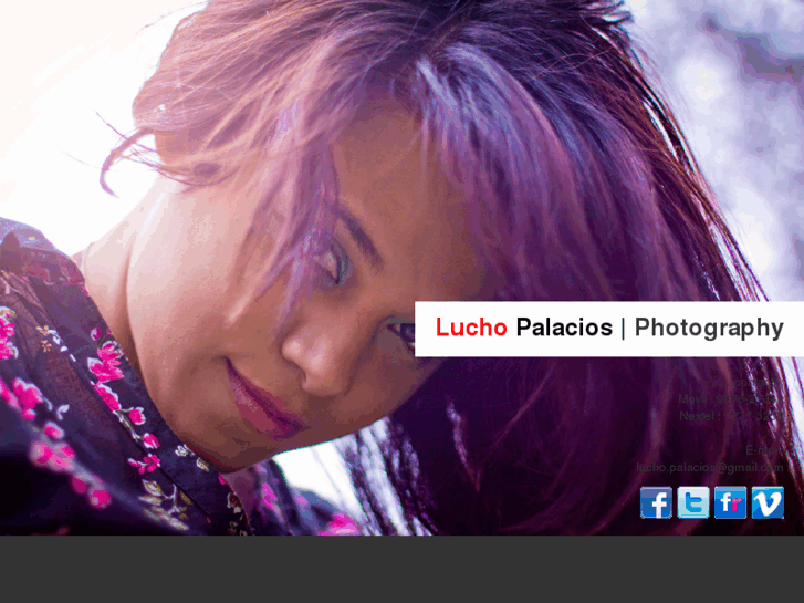 www.luchopalacios.com