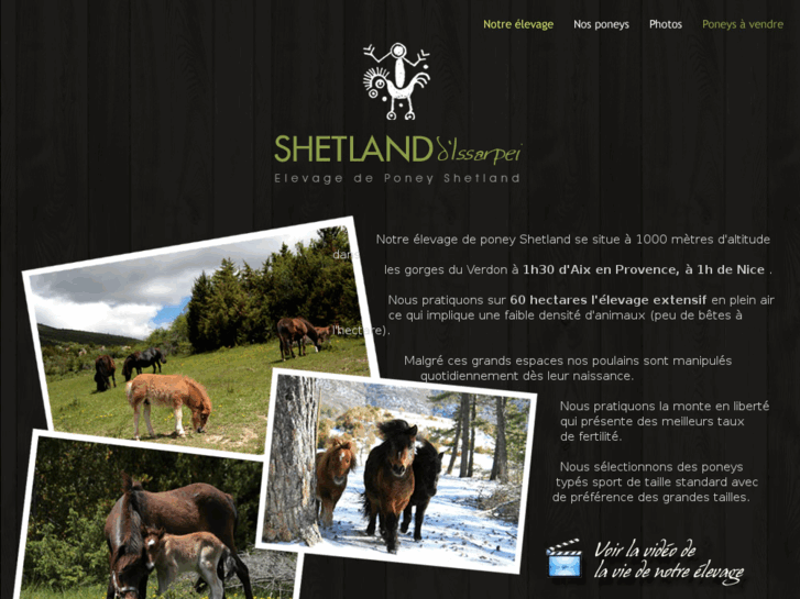 www.poney-shetland.com