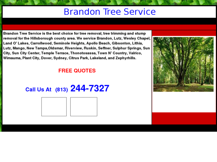 www.brandontreeservice.com