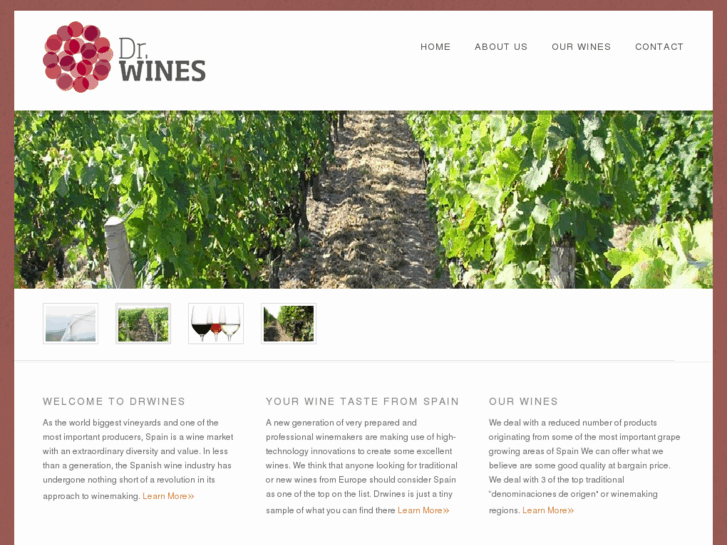 www.drwines.es