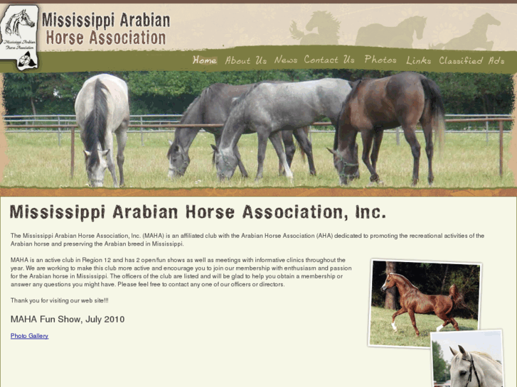 www.mississippiarabian.org