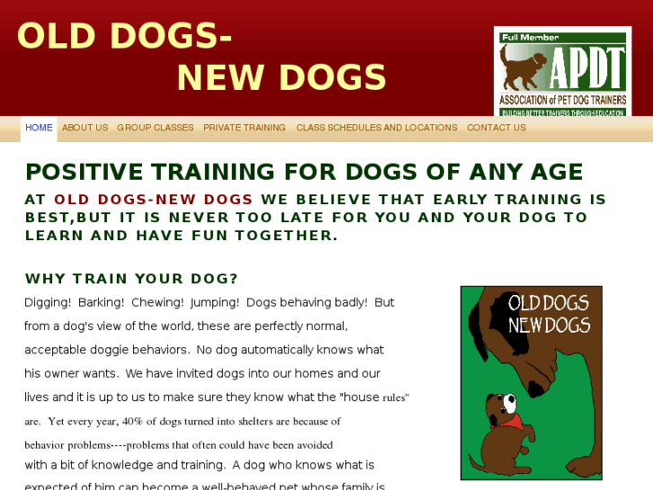 www.olddogs-newdogs.com