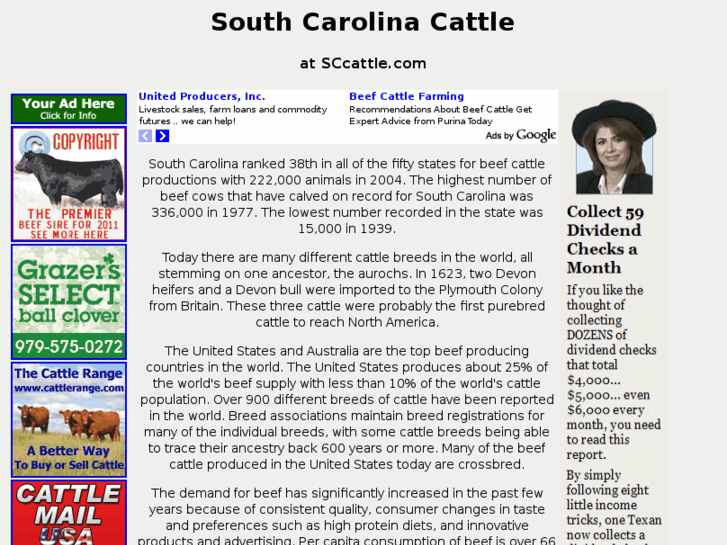 www.sccattle.com