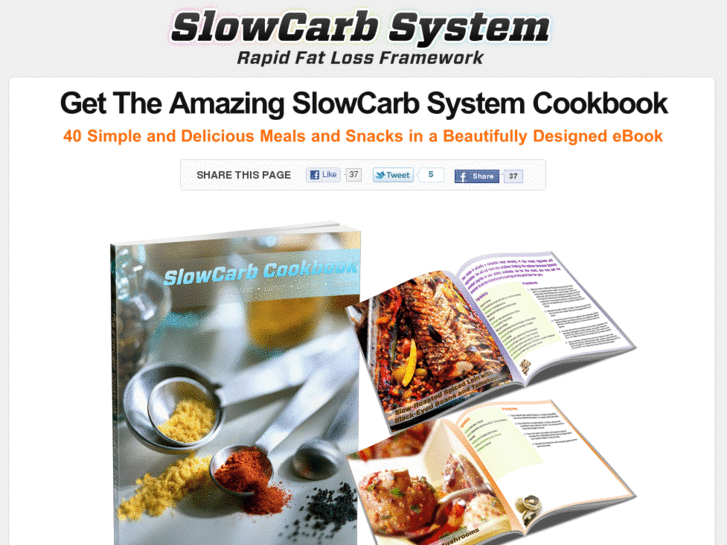 www.slowcarbsystem.com