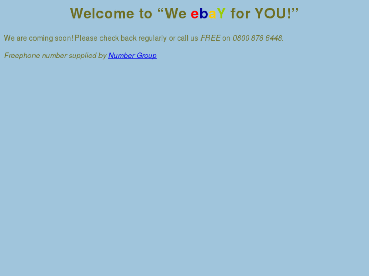www.we-ebay-4u.com