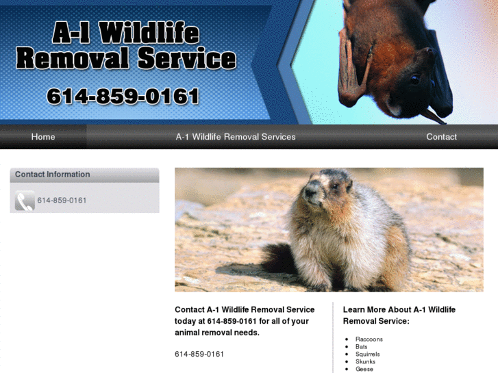 www.a1wildliferemovalservice.com