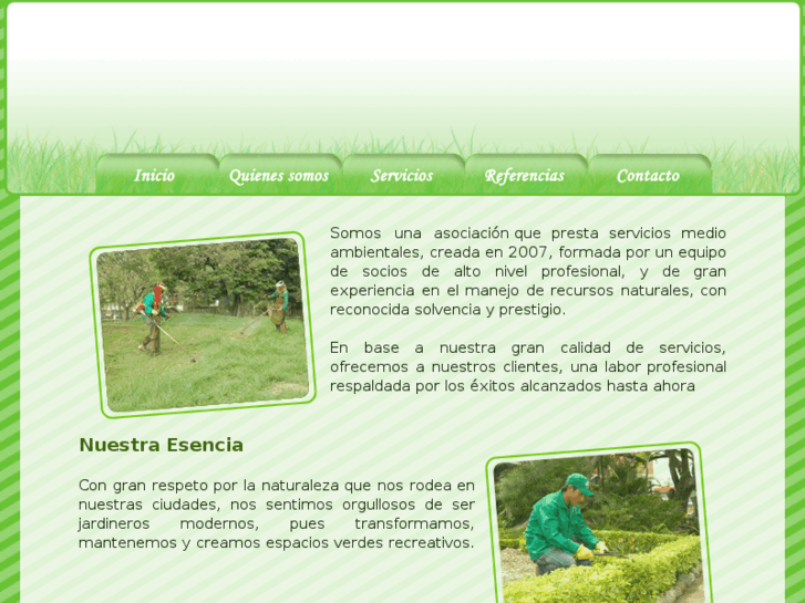 www.asociacionandina.com