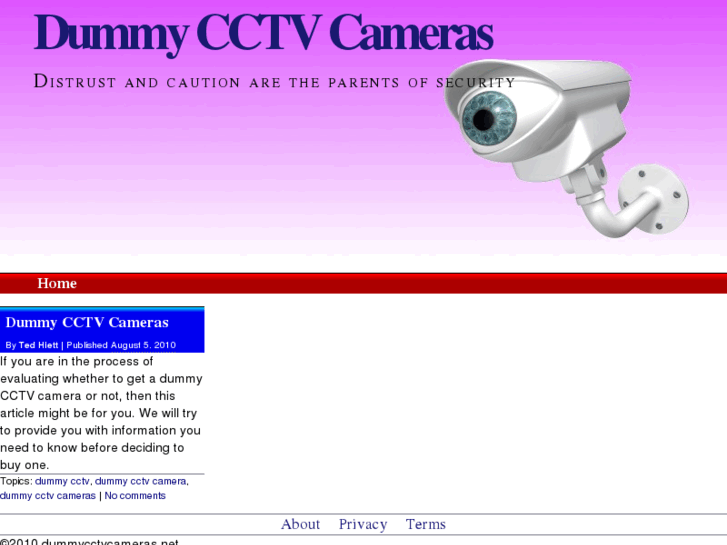 www.dummycctvcameras.net