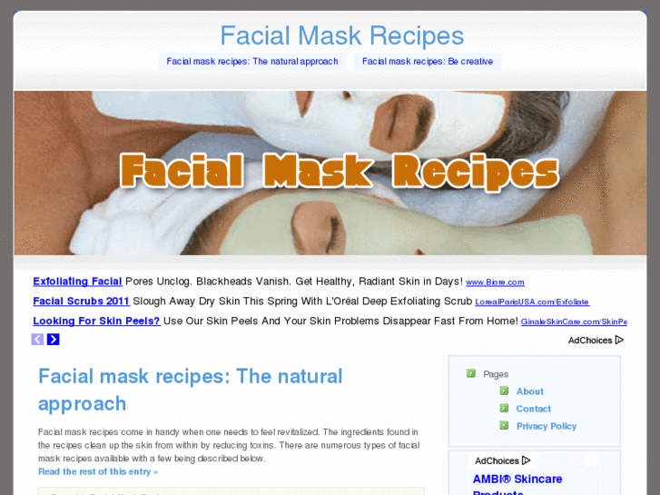 www.facialmaskrecipes.net