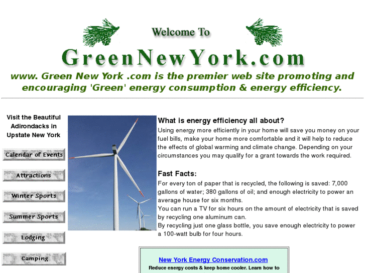 www.greennewyork.com