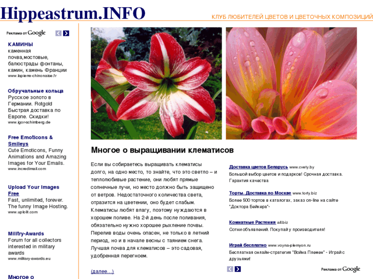 www.hippeastrum.info