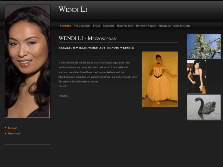 www.wendi-li.com