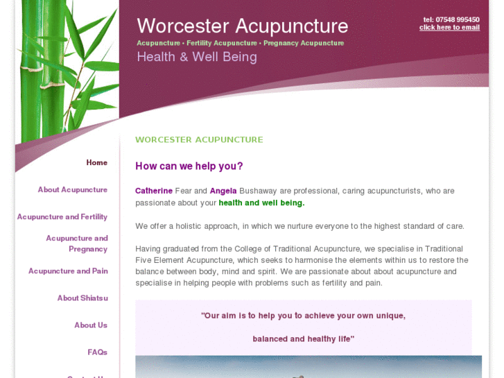 www.worcester-acupuncture.com