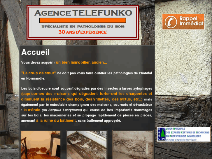 www.agencetelefunko.com
