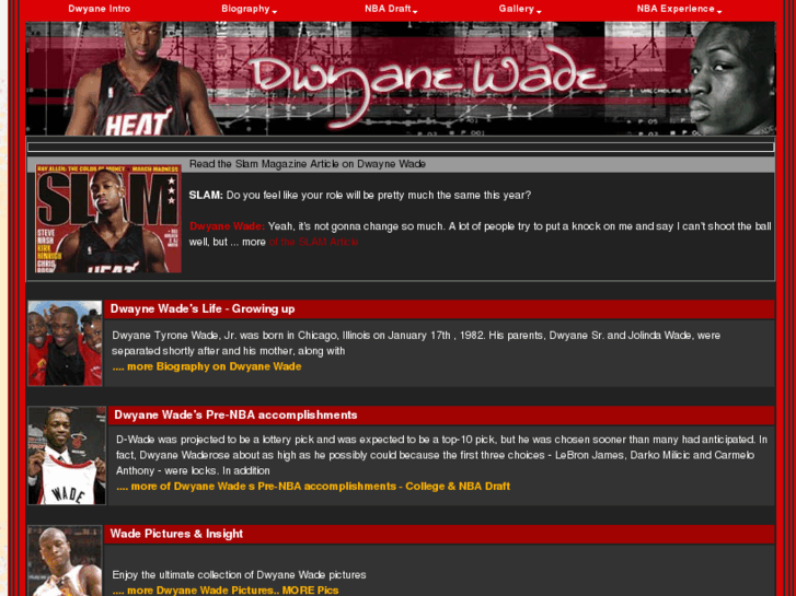 www.dwyane-wade-flash.com