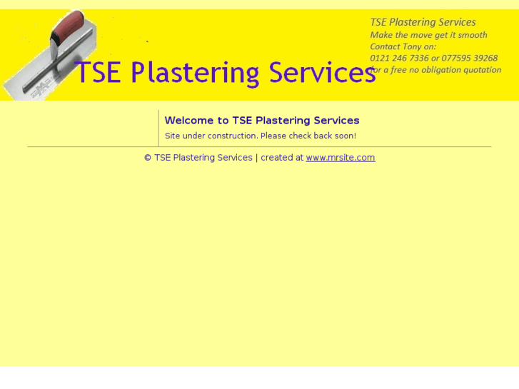 www.tseplasteringservices.com