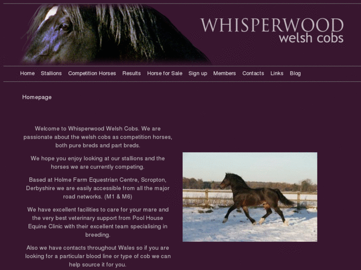 www.whisperwoodwelshcobs.com