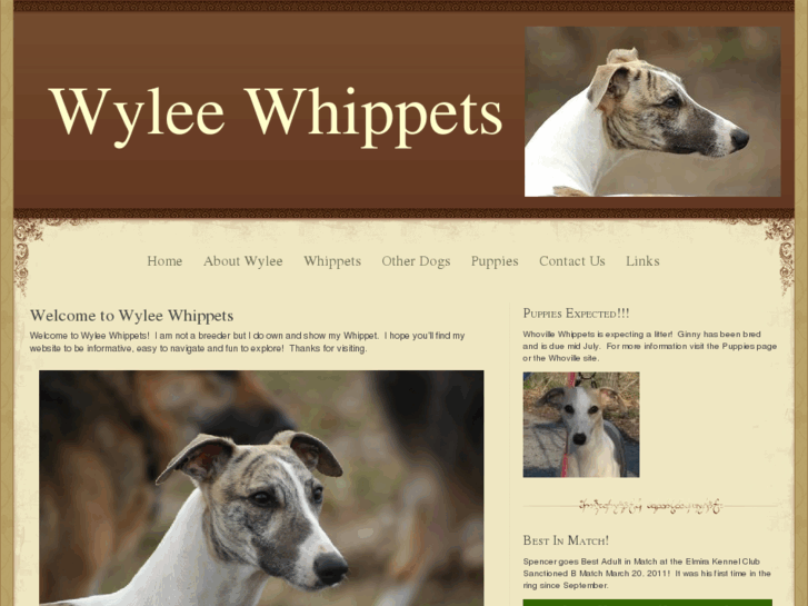 www.wyleewhippets.com