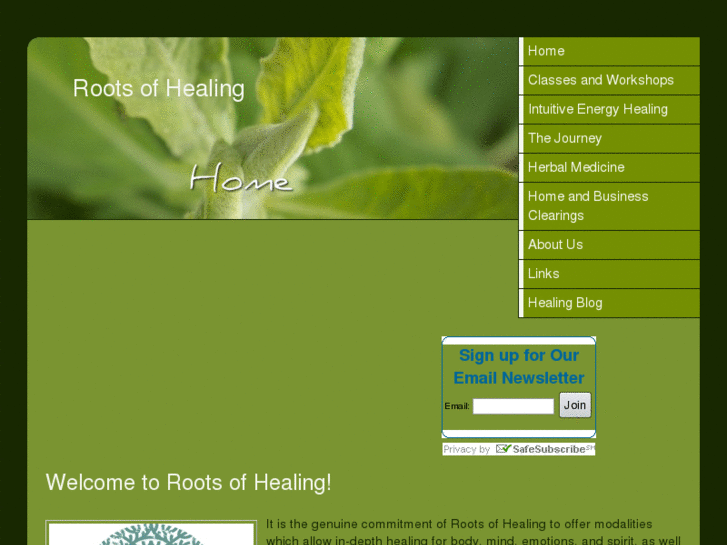www.rootsofhealing.com