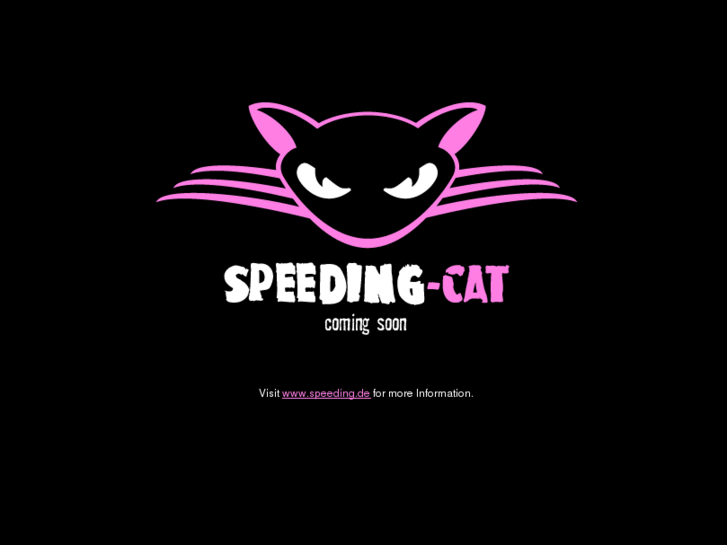 www.speeding-cat.com