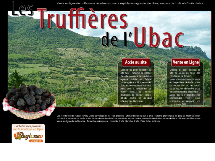 www.truffieres-ubac.com