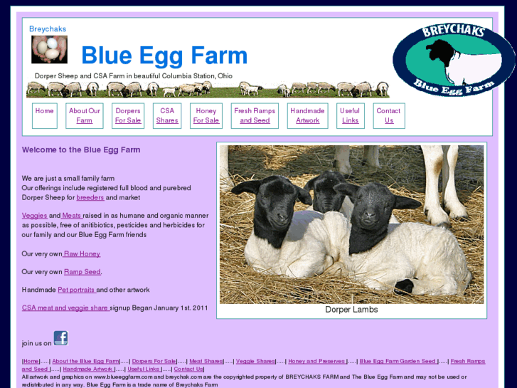 www.blueeggfarm.com