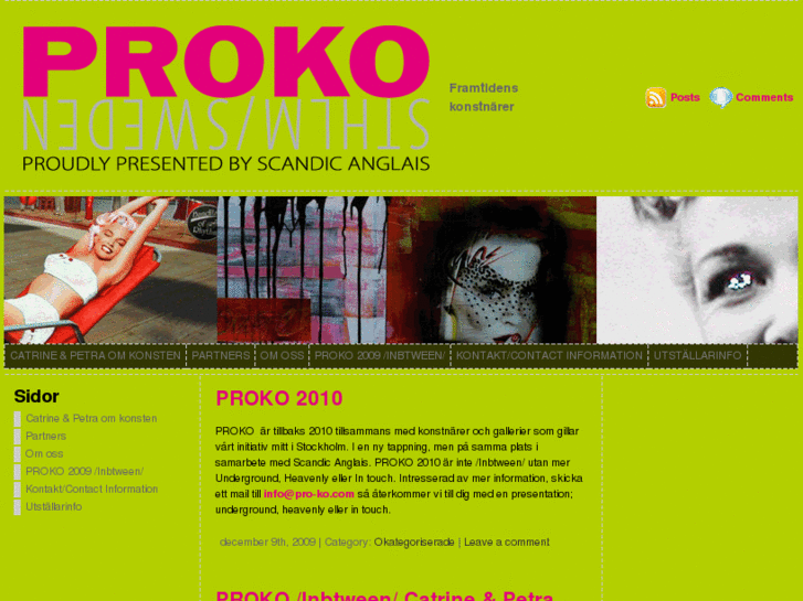 www.pro-ko.com