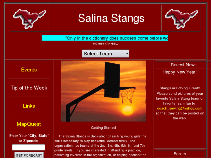 www.salinastangs.com