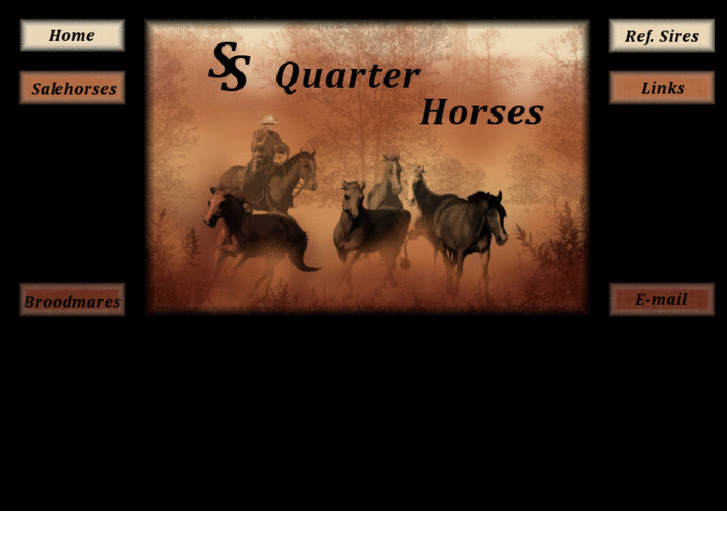 www.ssquarterhorses.com