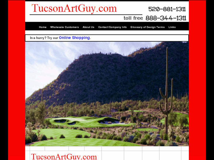 www.tucsonartguy.com